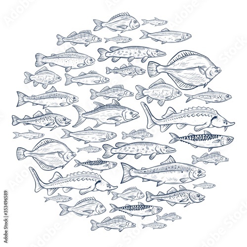 Vector sketch illustration of fresh sea fishes drawing isolated on white. Engraved style. natural business. Vintage, retro object for menu, label, recipe, product packaging