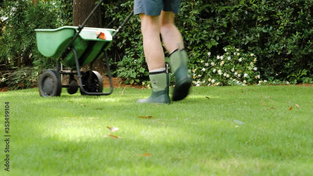 Man fertilizing and seeding residential backyard lawn with manual grass fertilizer spreader.