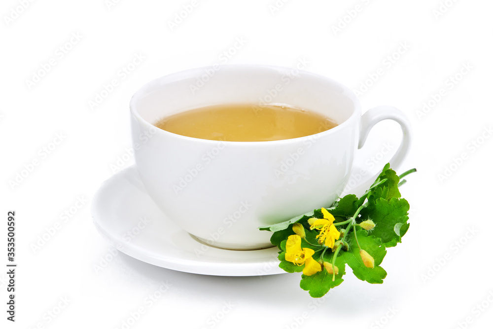 herbal medicine celandine green tea isolated on white background. natural medical remedy concept. herbal medicine celandine green tea isolated on white background. natural medical remedy concept.