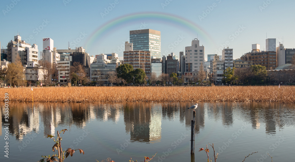 Park in Tokyo Japan with lake and rainbow