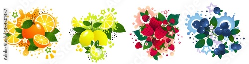 Set of bright vector citruses and berries - orange, lemon, blueberry, raspberry