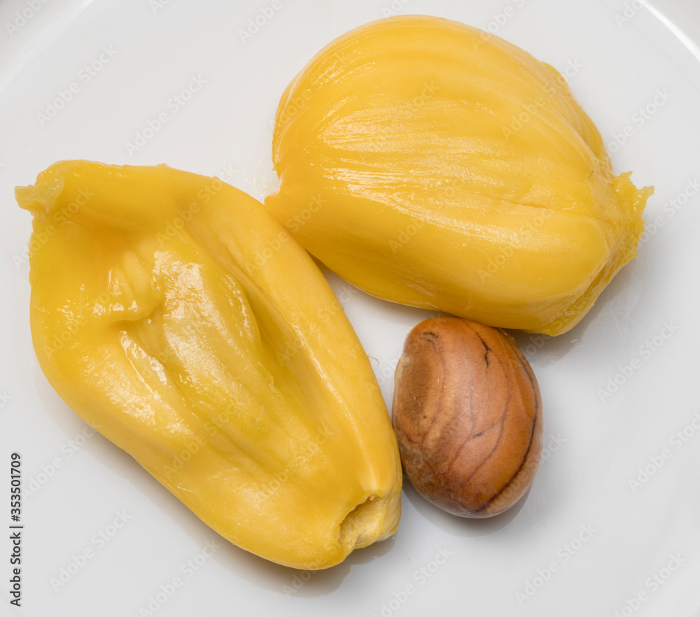 Jackfruit Jackfruit