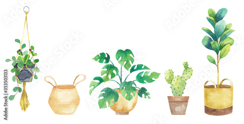 Set houseplants in pots painted in watercolor. Fresh elements isolated on a white background. Potted plants set