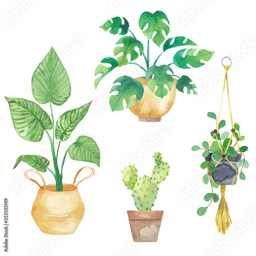 Set houseplants in pots painted in watercolor. Fresh elements isolated on a white background. Potted plants set