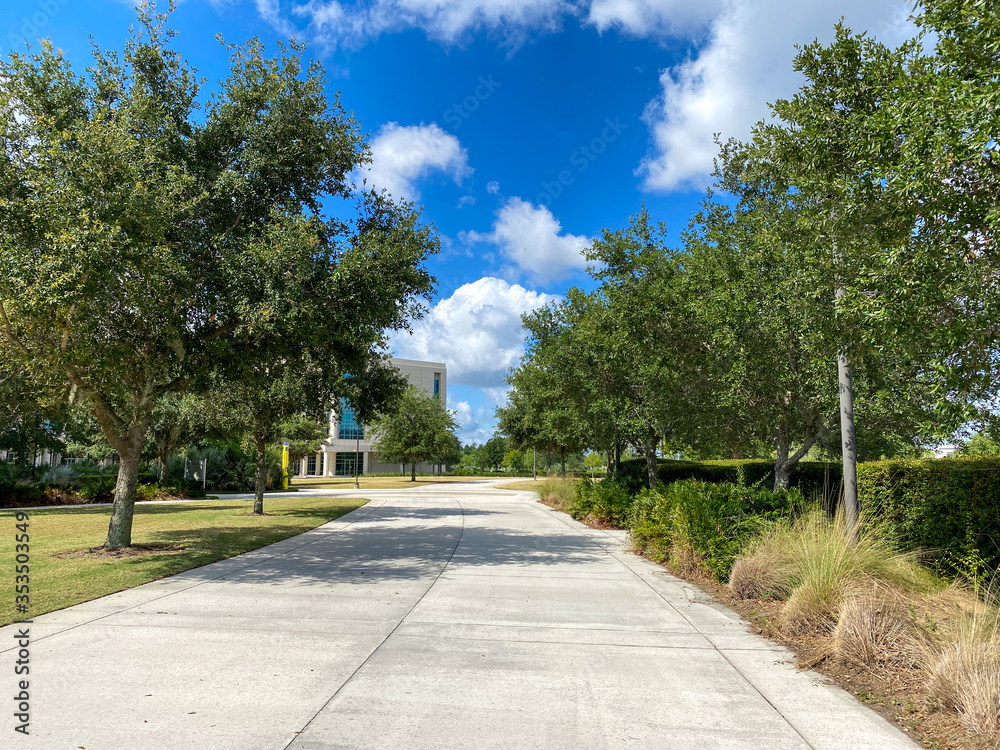 A tree lined street leading into a university campus.