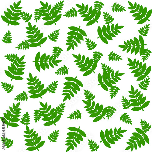 Fern pattern seamless in green color  fern leaves pattern isolated on white  fresh summer print for wrapping paper  textile  wallpapers  suitcases and more