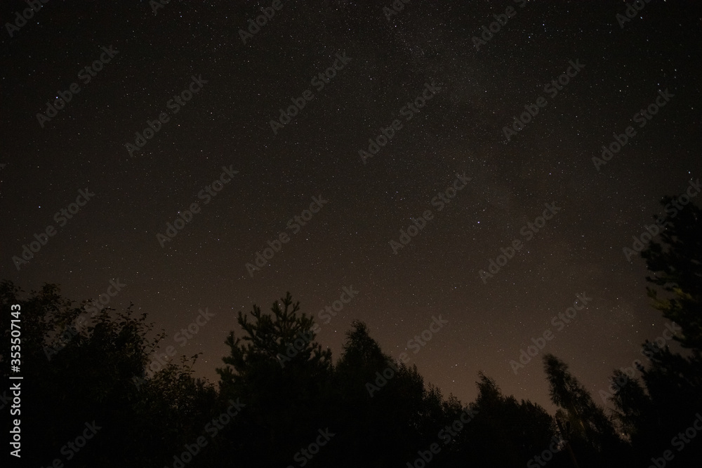 Night Starry Sky In Forest In Summer.