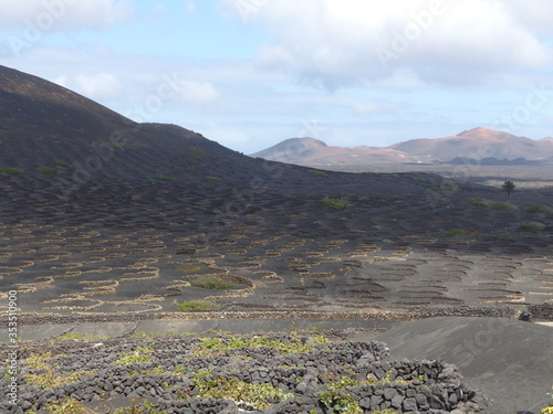 View of La Geria. Planting of vines for wine production, Lanzarote. Canary Islands