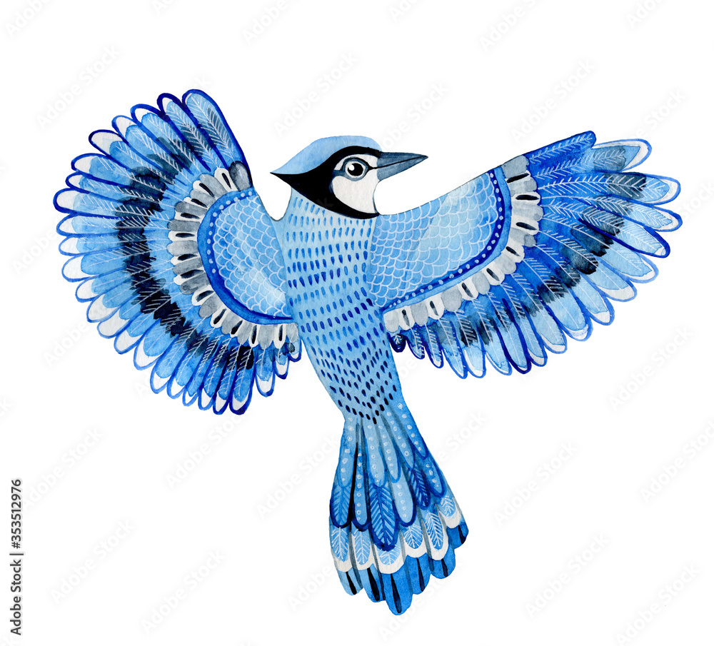 Watercolor bird blue jay flying hand drawn Illustration isolated on
