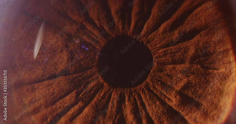 4k macro slow motion shot of a eye ball looking sideways revealing the veins.