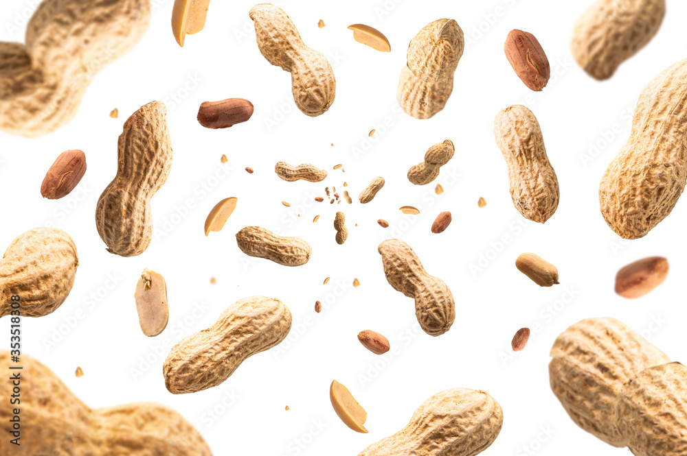 Collection of peanuts falling isolated on white background. Selective focus - obrazy, fototapety, plakaty 