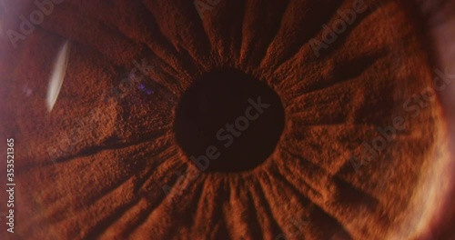 4k macro slow motion shot of a eye ball looking sideways revealing the veins.