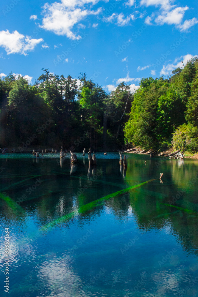 Fototapeta premium Paisajes naturaleza Parque nacional Conguillio bosque nativo de araucarias región de la araucanía Laguna Captren 