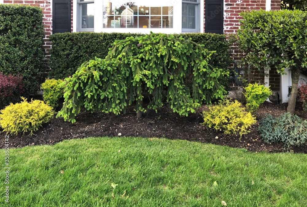 Naklejka premium landscape design in front of old brick house