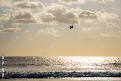 Silhouette of a Pelican Flying in a Warm Cloudy Sky at Dusk/Sunset over The Waves on the Ocean
