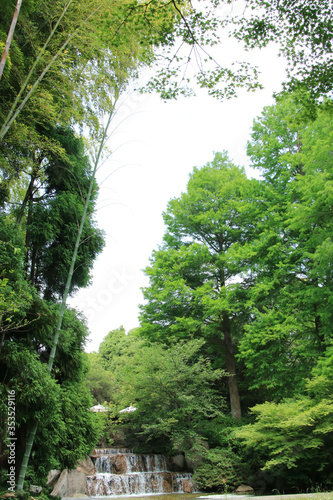 新緑の須磨離宮公園の竹林と滝【5月】