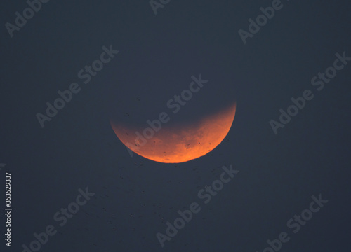 Partial Lunar eclipse visible at Bahrain on 31 January 2018. The eclipse was seen after the moonrise at 17:23  photo