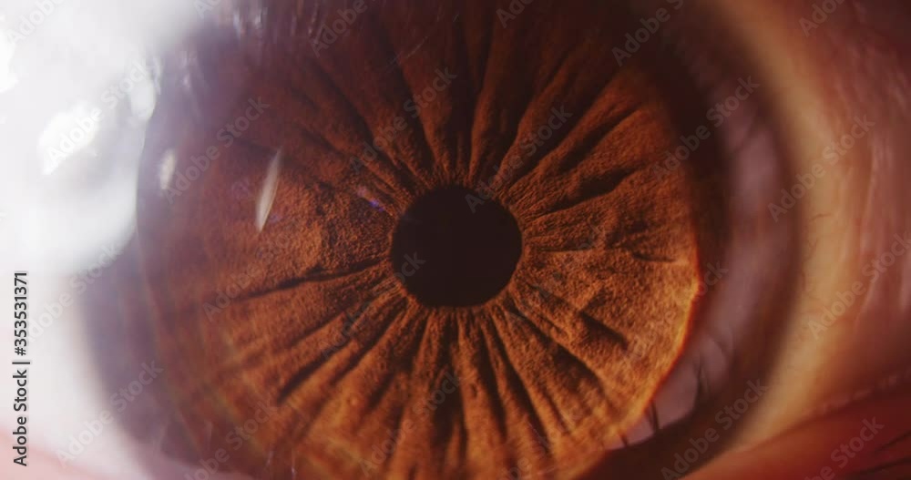 4k macro slow motion shot of a eye ball looking sideways revealing the veins.