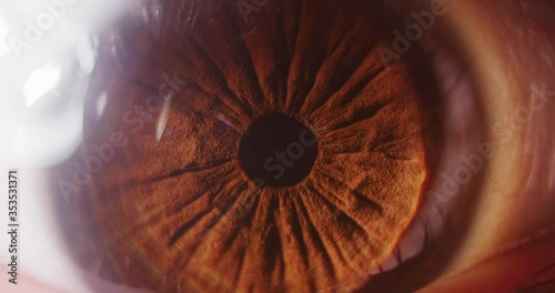 4k macro slow motion shot of a eye ball looking sideways revealing the veins.