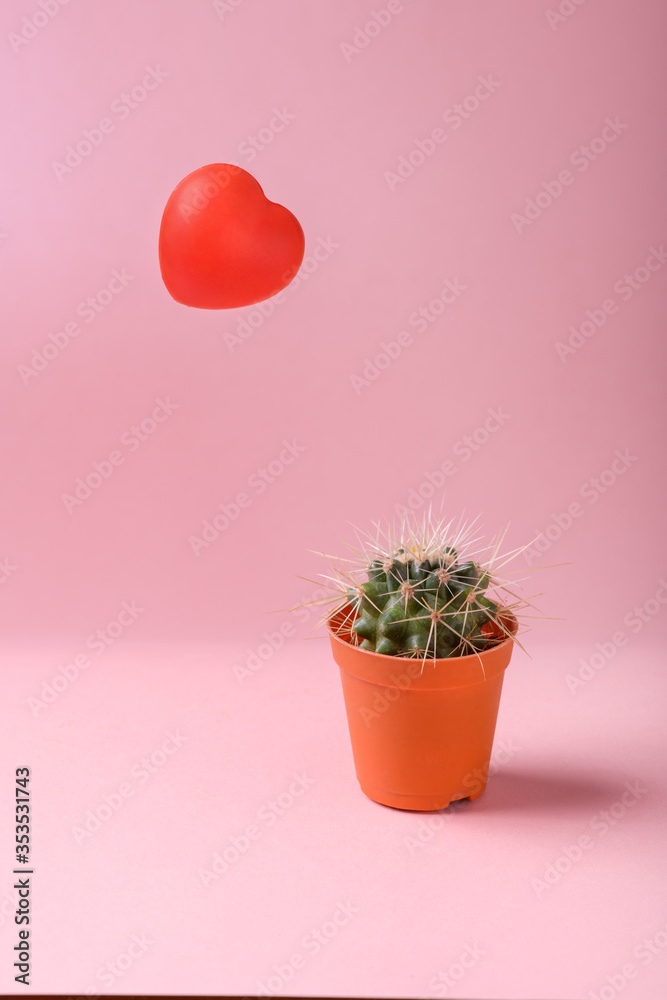 Red heart shape try to avoid the cactus Red heart shape try to avoid the cactus