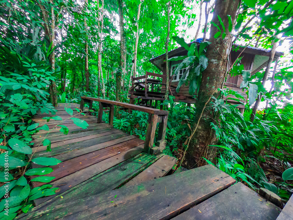 Wooden house Surrounded by nature For relaxing at Chanthaburi Thailand.