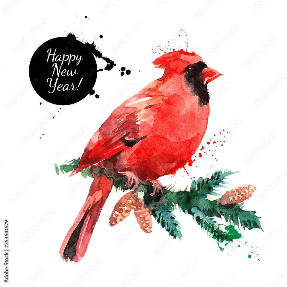 Obraz Watercolor Cardinal Red Bird vector illustration. merry Christmas and Happy New Year card