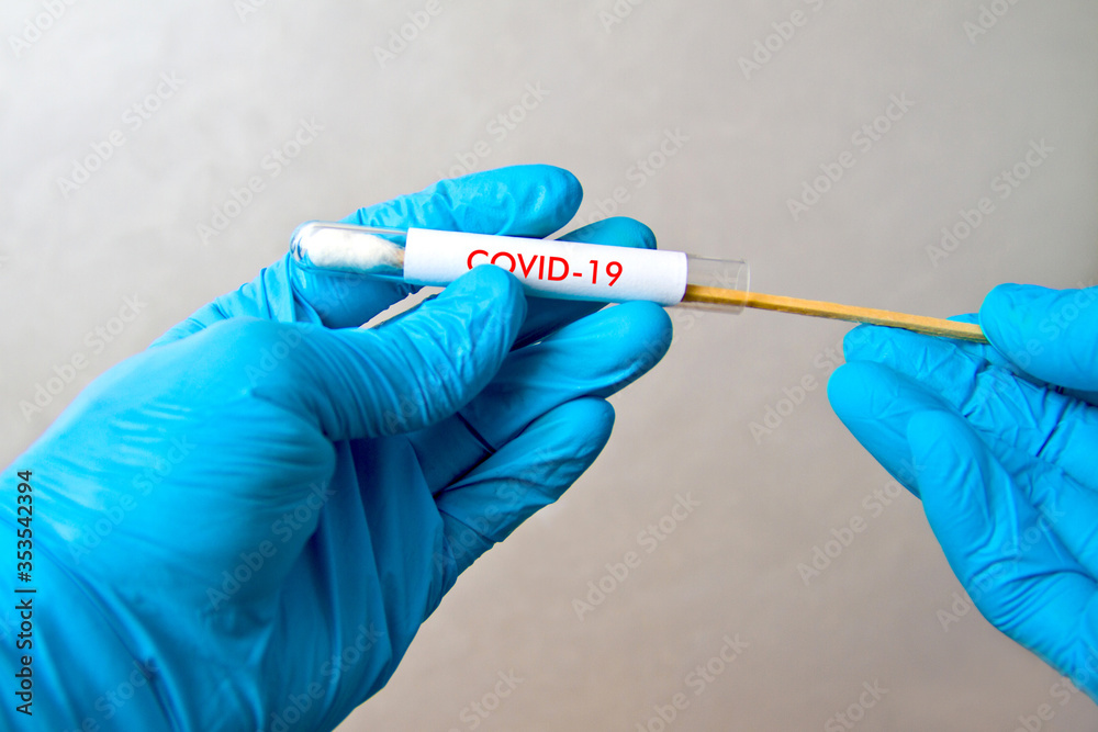 Gloved hands with swab, patient sample collection, sterile sample ready for analysis, viral disease testing COVID-19 pandemic, coronavirus.