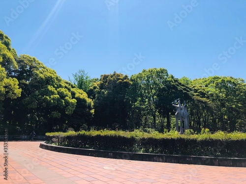 新緑の公園
