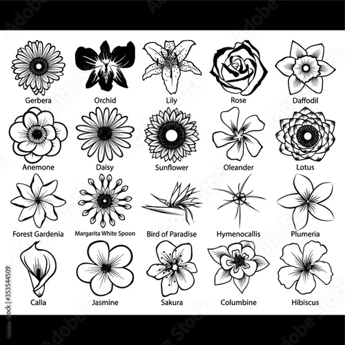 Collection of flower icons