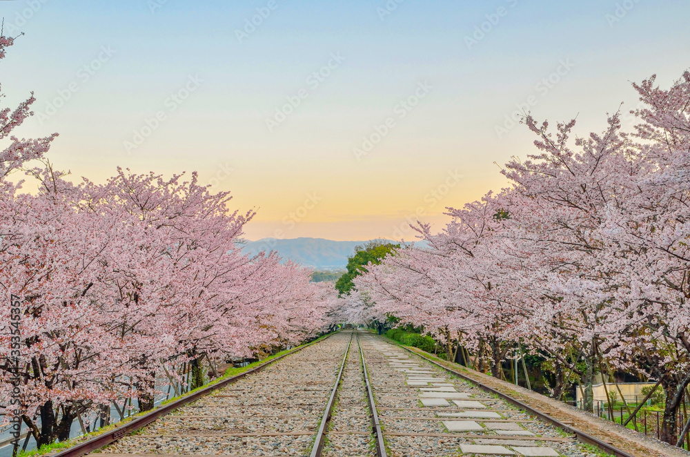 京都の蹴上インクライン