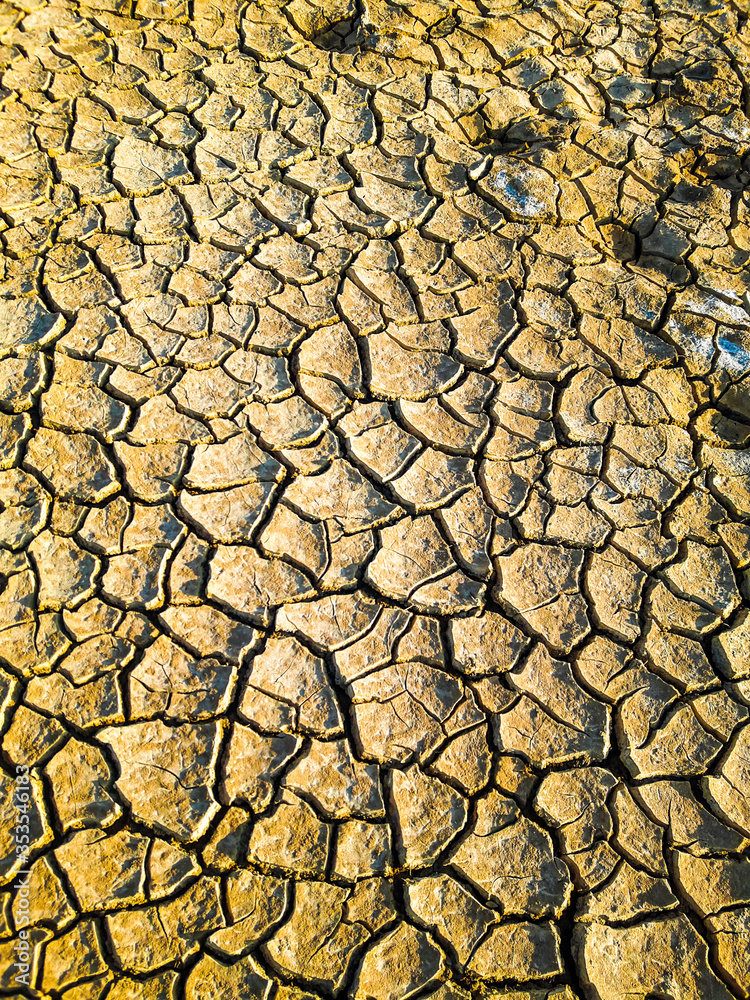 Dry cracked earth soil of Kutch desert, Bunny grassland Dry cracked earth soil of Kutch desert, Bunny grassland