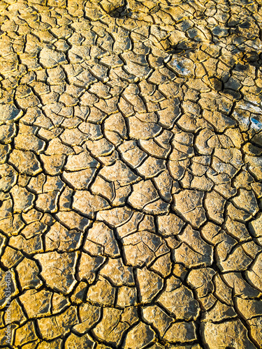 Dry cracked earth soil of Kutch desert, Bunny grassland