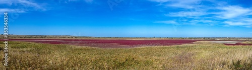 Reed-covered estuary near the village of Koblevo in Ukraine © multipedia