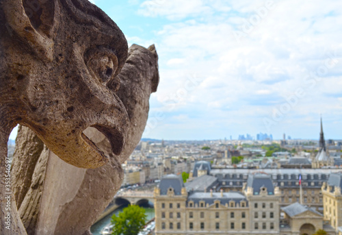 Gargoyle of Notre Dame de Paris Cathedral and Paris cityscape, France