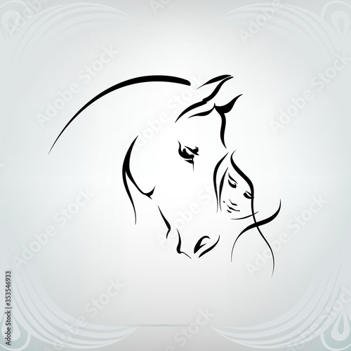 Silhouette of the girl and horse