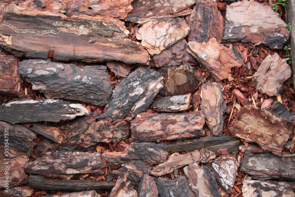 Wet coniferous bark for mulching the soil. Background from larch bark. Wet coniferous bark for mulching the soil. Background from larch bark.