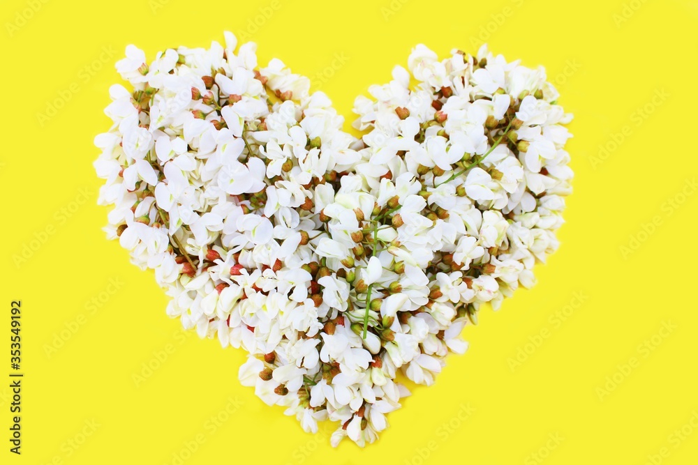 Obraz premium Heart of white fresh flowers isolated on a yellow background. Heart symbol made of acacia flowers isolated on yellow background. Concept of love for Valentines day and mother. Flower heart shape.