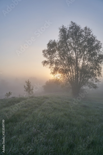 Early spring. Morning dawn over the lake in a misty, thoughtful haze. Beautiful view of the forest covered with fog early in the morning. The sun's rays of light. May.