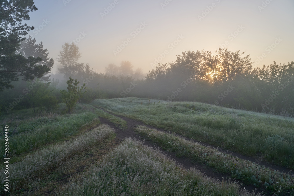 Early spring. Morning dawn over the lake in a misty, thoughtful haze. Beautiful view of the forest covered with fog early in the morning. The sun's rays of light. May. Early spring. Morning dawn over the lake in a misty, thoughtful haze. Beautiful view of the forest covered with fog early in the morning. The sun's rays of light. May.