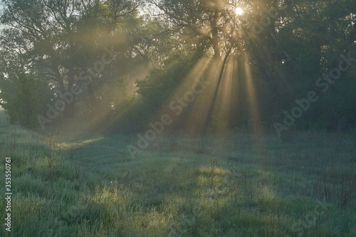 Early spring. Morning dawn over the lake in a misty  thoughtful haze. Beautiful view of the forest covered with fog early in the morning. The sun s rays of light. May.