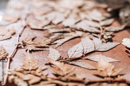 in the foreground on a wooden Board are dried leaves, the background is blurred