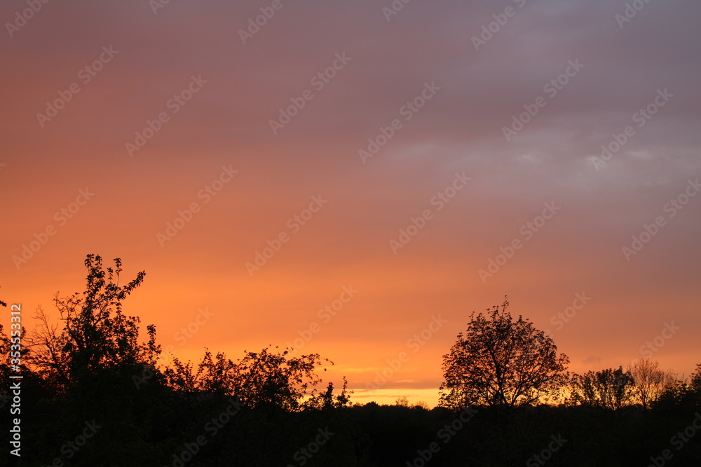 Fototapeta premium sunset over the field