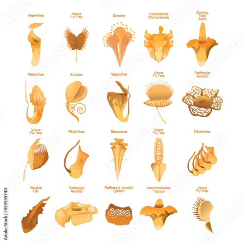 Set of carnivorous plants