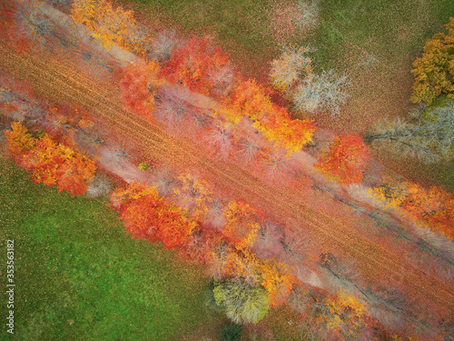 Aerial view of path through colorful autumn forest in Versailles, Paris, France