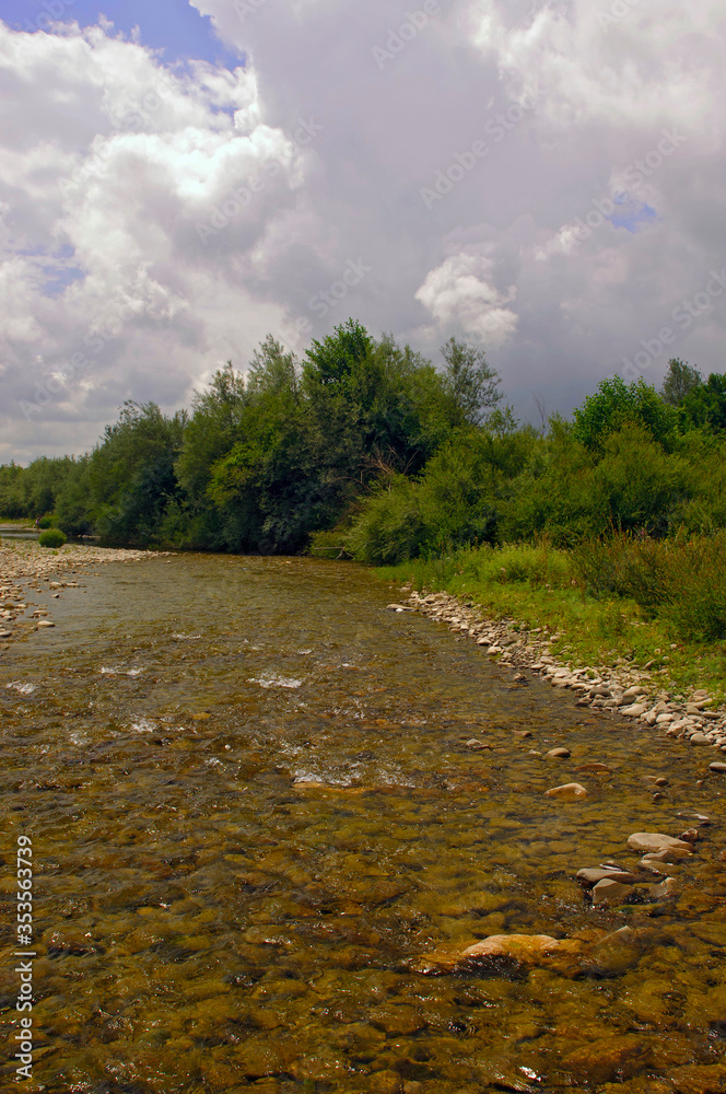 landscape with a mountain river on a summer day before the rain landscape with a mountain river on a summer day before the rain