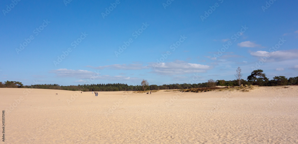 View on sand dunes on a sunny day at Soesterduinen, Netherlands
