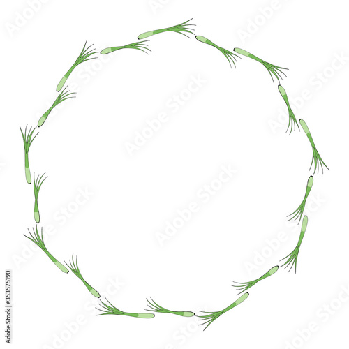 Round frame with green onion on white background. Vector image.