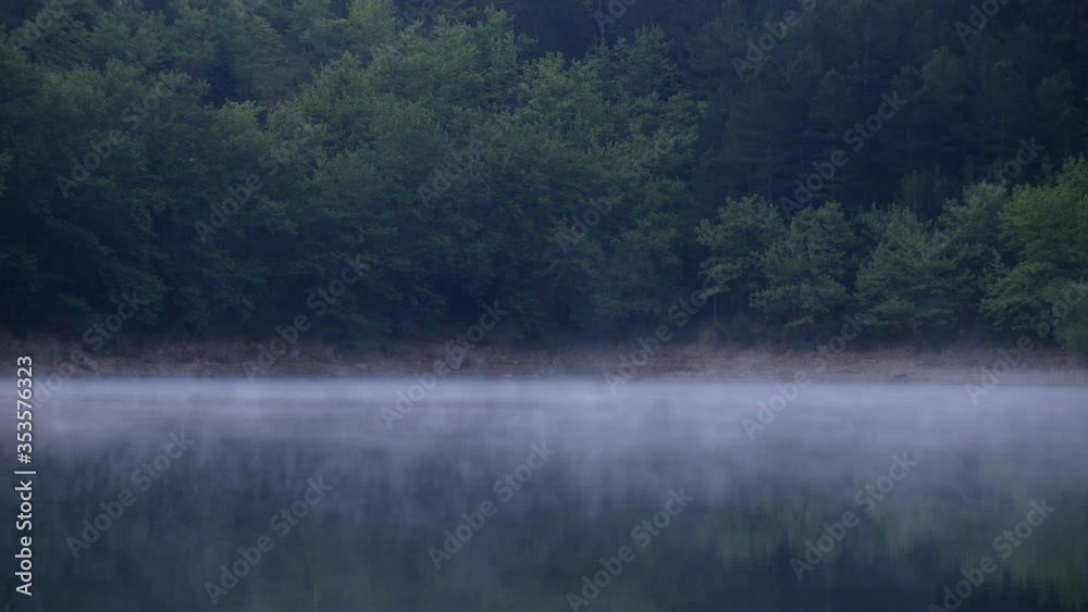 Early morning fog cascades above calm lake water by forest of green trees in background, static Early morning fog cascades above calm lake water by forest of green trees in background, static