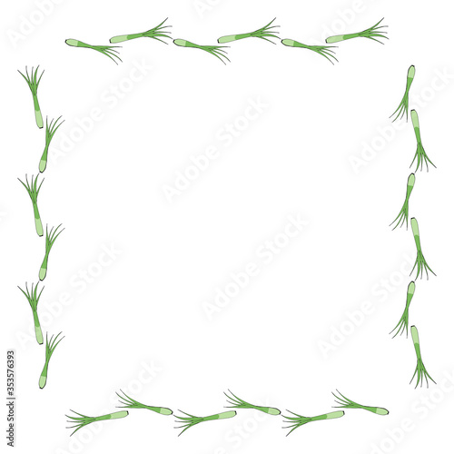 Square frame with green onion on white background. Vector image.