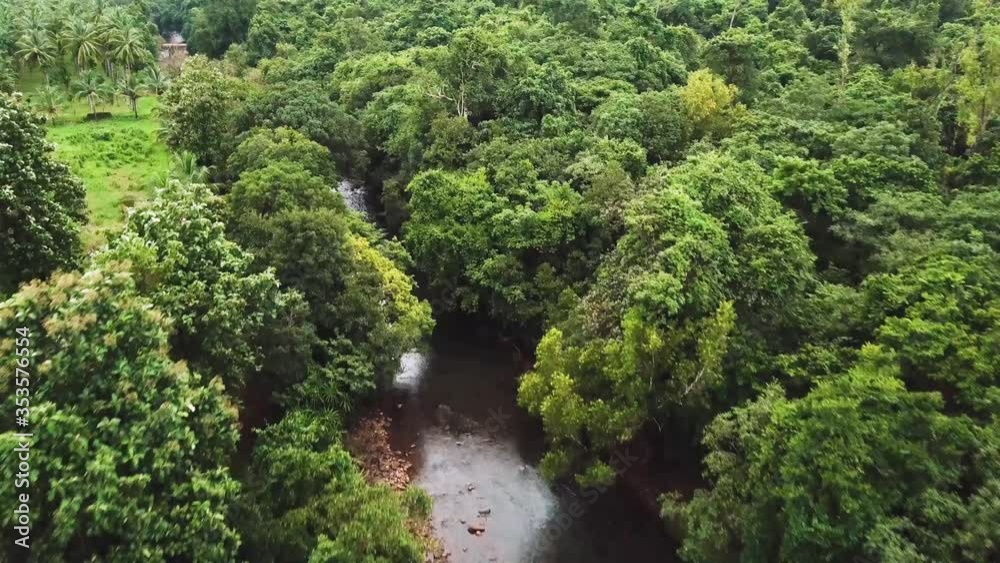 Drone shot flying over trees heading towards the sun and landscape at Netravali Wildlife Sanctuary, Goa, India Drone shot flying over trees heading towards the sun and landscape at Netravali Wildlife Sanctuary, Goa, India